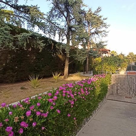 Villa Mary - Apartments Трани Экстерьер фото